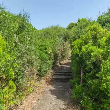 Biniforcat 11 - In Ciutadella Hébergement de vacances *